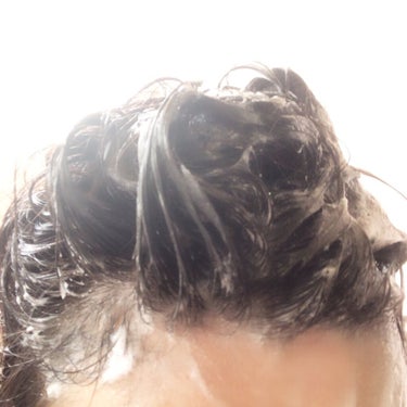 THE BEAUTY 髪のキメ美容シャンプー／コンディショナー＜エアリーリペア＞	/エッセンシャル/シャンプー・コンディショナーを使ったクチコミ（2枚目）