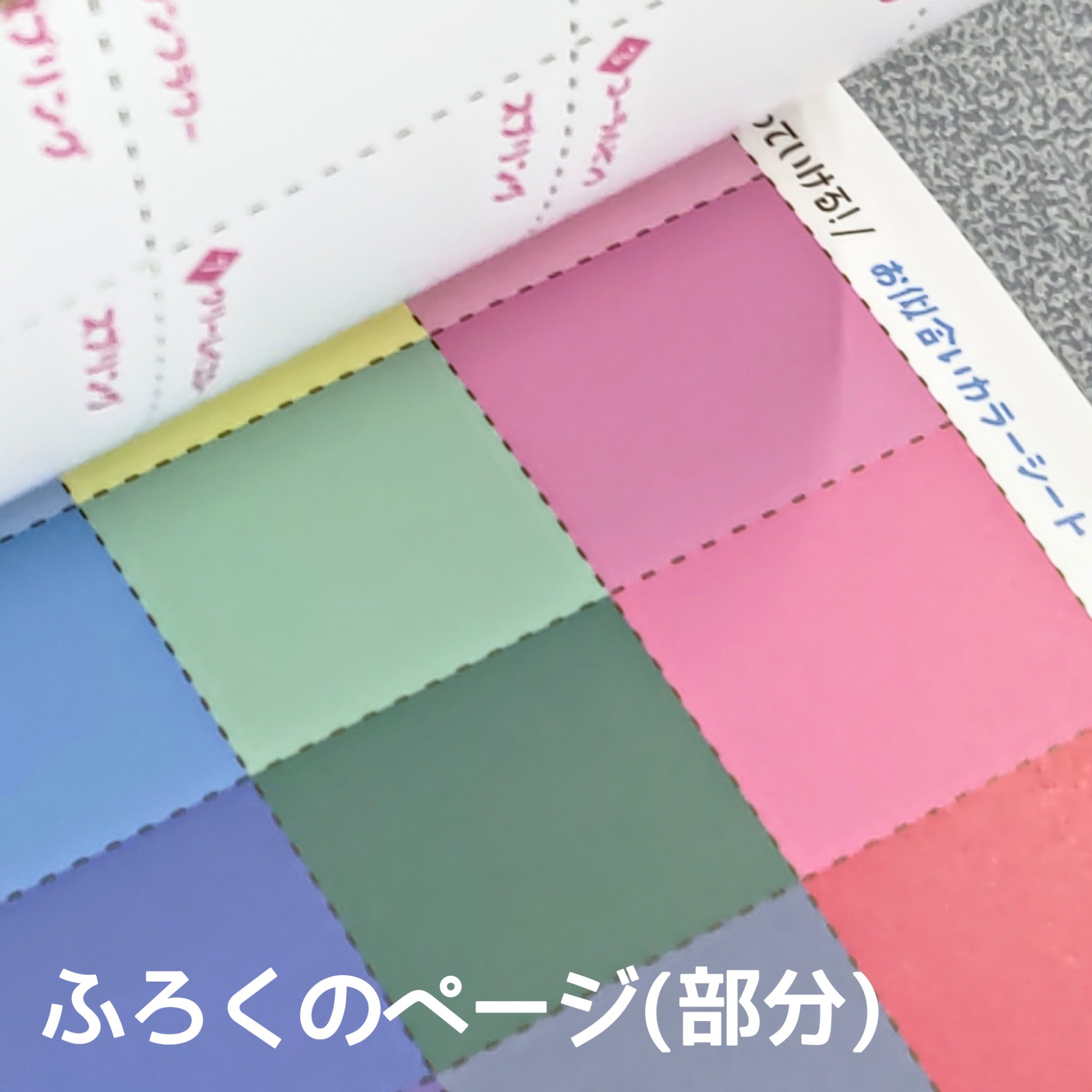 めちゃカワMAX!! パーソナルカラー診断 最高にかわいくなる色のルール/新星出版社/書籍を使ったクチコミ（3枚目）