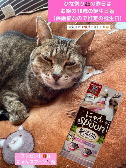 フィクシングティント/ETUDE/リップティントを使ったクチコミ(4枚目)