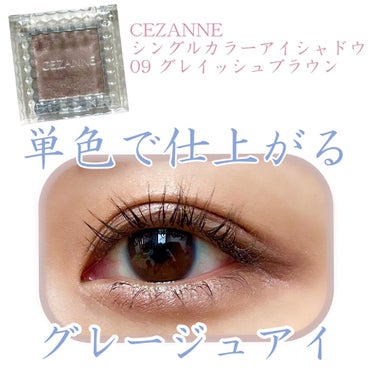 シングルカラーアイシャドウ 09 グレイッシュブラウン/CEZANNE/単色アイシャドウを使ったクチコミ（1枚目）