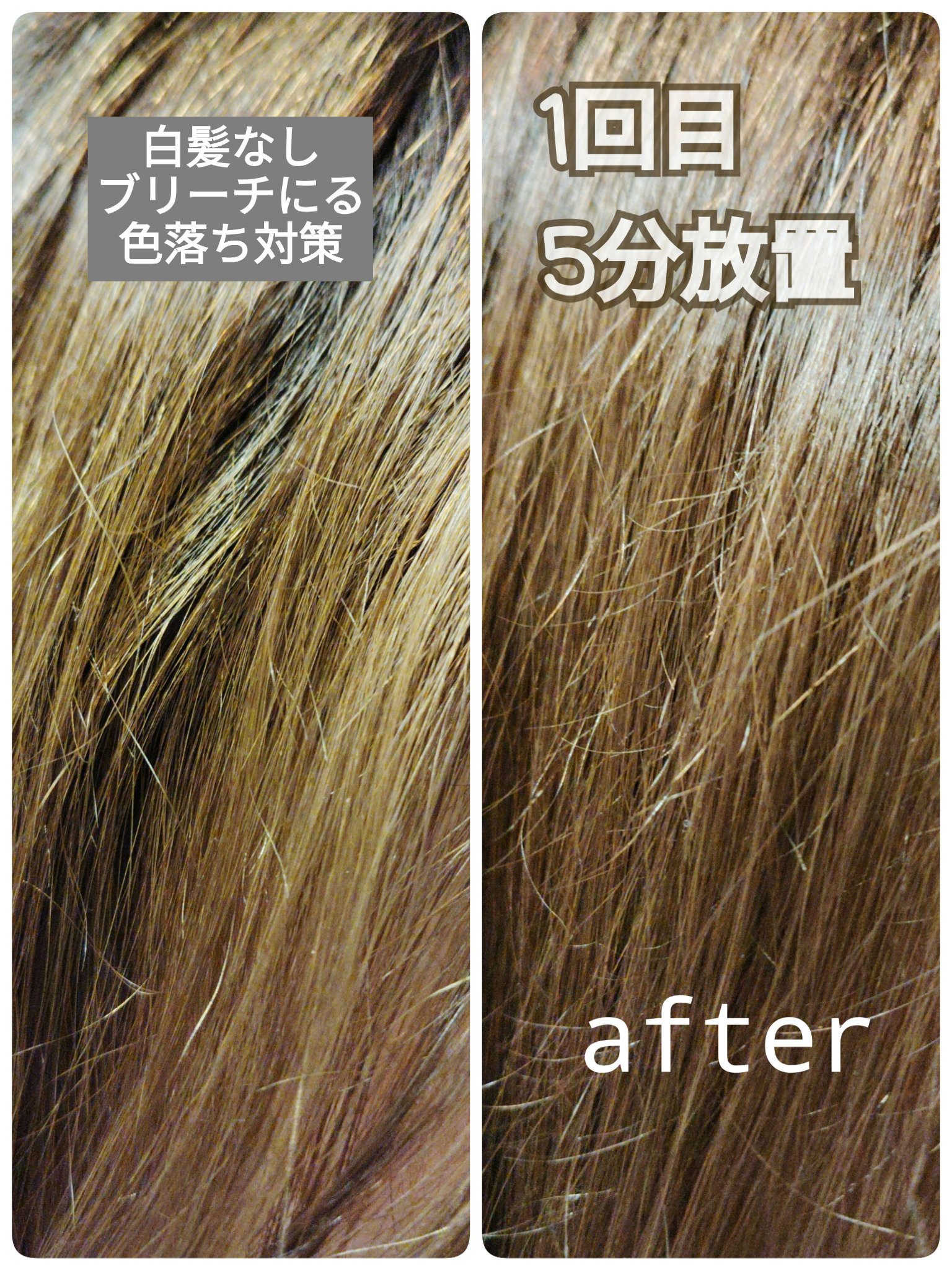 サロンドプロカラートリートメントM/ダリヤ/洗い流すヘアトリートメントを使ったクチコミ（1枚目）