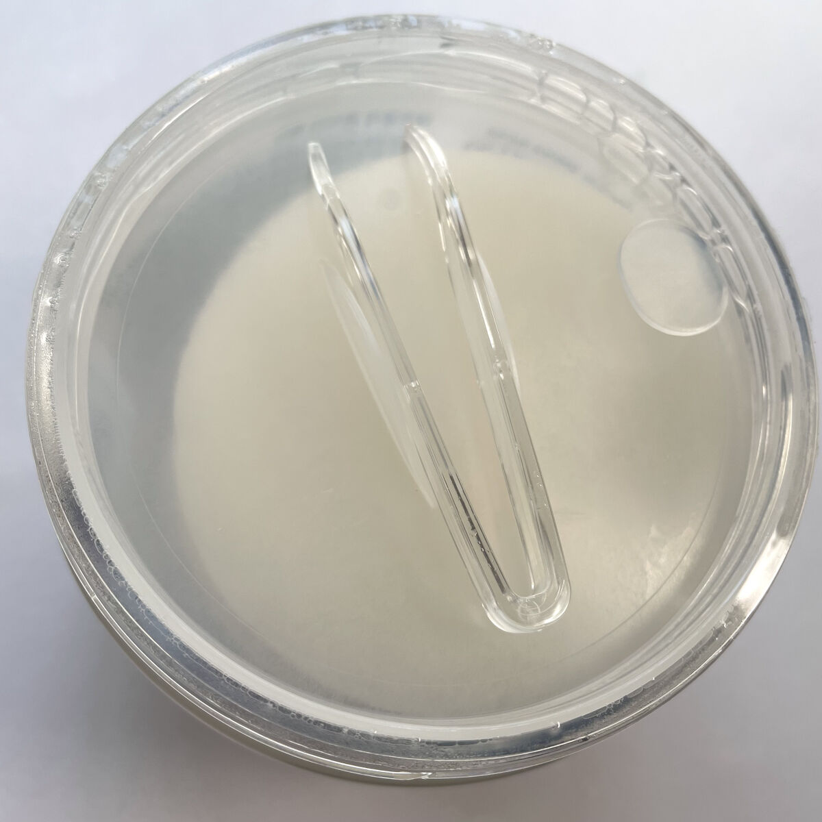 テルムレクリアパッド/STEAMBASE/トナーパッドを使ったクチコミ（3枚目）