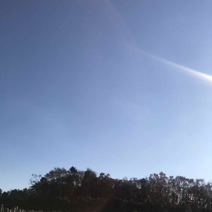 アイ カラー クォード/TOM FORD BEAUTY/アイシャドウパレットを使ったクチコミ(3枚目)