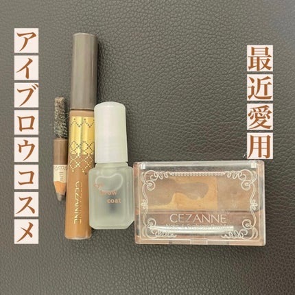 ノーズ&アイブロウパウダー/CEZANNE/パウダーアイブロウを使ったクチコミ(1枚目)