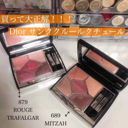 【旧】サンク クルール クチュール/Dior/アイシャドウパレットを使ったクチコミ(1枚目)