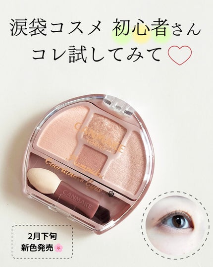 プランぷくコーデアイズ/キャンメイク/パウダーアイシャドウを使ったクチコミ(1枚目)