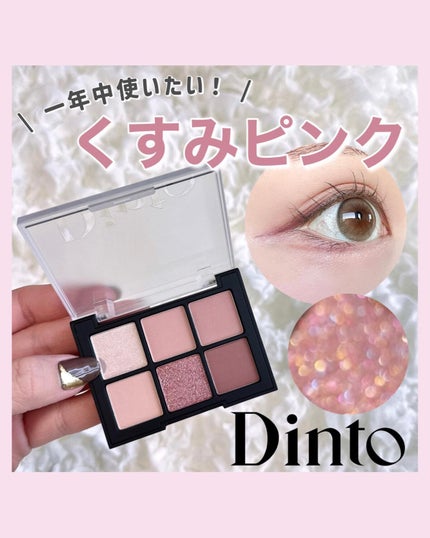 ブラーフィニシュシャドウパレット/Dinto/アイシャドウパレットを使ったクチコミ(1枚目)