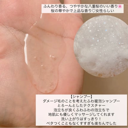 THE PREMIUM ãšã¯ã¹ãã©ãã¡ãŒãžã±ã¢ã·ã£ã³ããŒïŒããªãŒãã¡ã³ãïŒã·ã£ã€ããŒã¢ã€ã¹ãïŒ/ãã¡é«ª/åžè²©ã·ã£ã³ããŒã䜿ã£ãã¯ãã³ãïŒ2æç®ïŒ