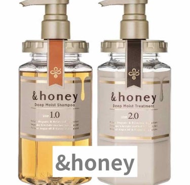 ディープモイスト シャンプー1.0／ヘアトリートメント2.0/&honey/シャンプー・コンディショナーを使ったクチコミ（1枚目）