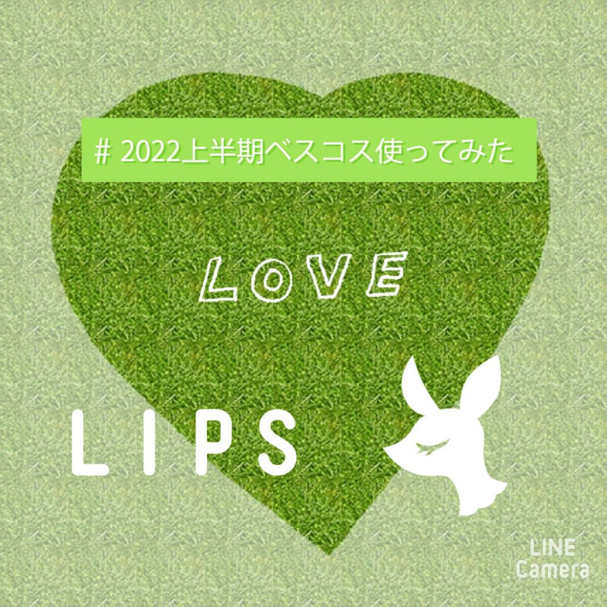 【旧】サンク クルール クチュール/Dior/アイシャドウパレットを使ったクチコミ(1枚目)