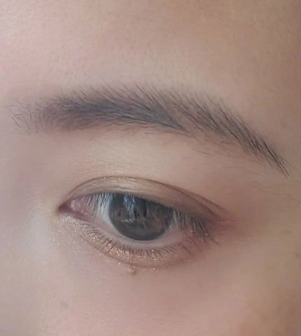 トーン ペタル アイシャドウ/to/one/アイシャドウパレットを使ったクチコミ(5枚目)