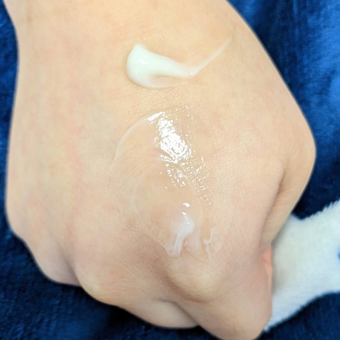 グロービタグットナイトクリーム/AROMATICA/フェイスクリームを使ったクチコミ(8枚目)