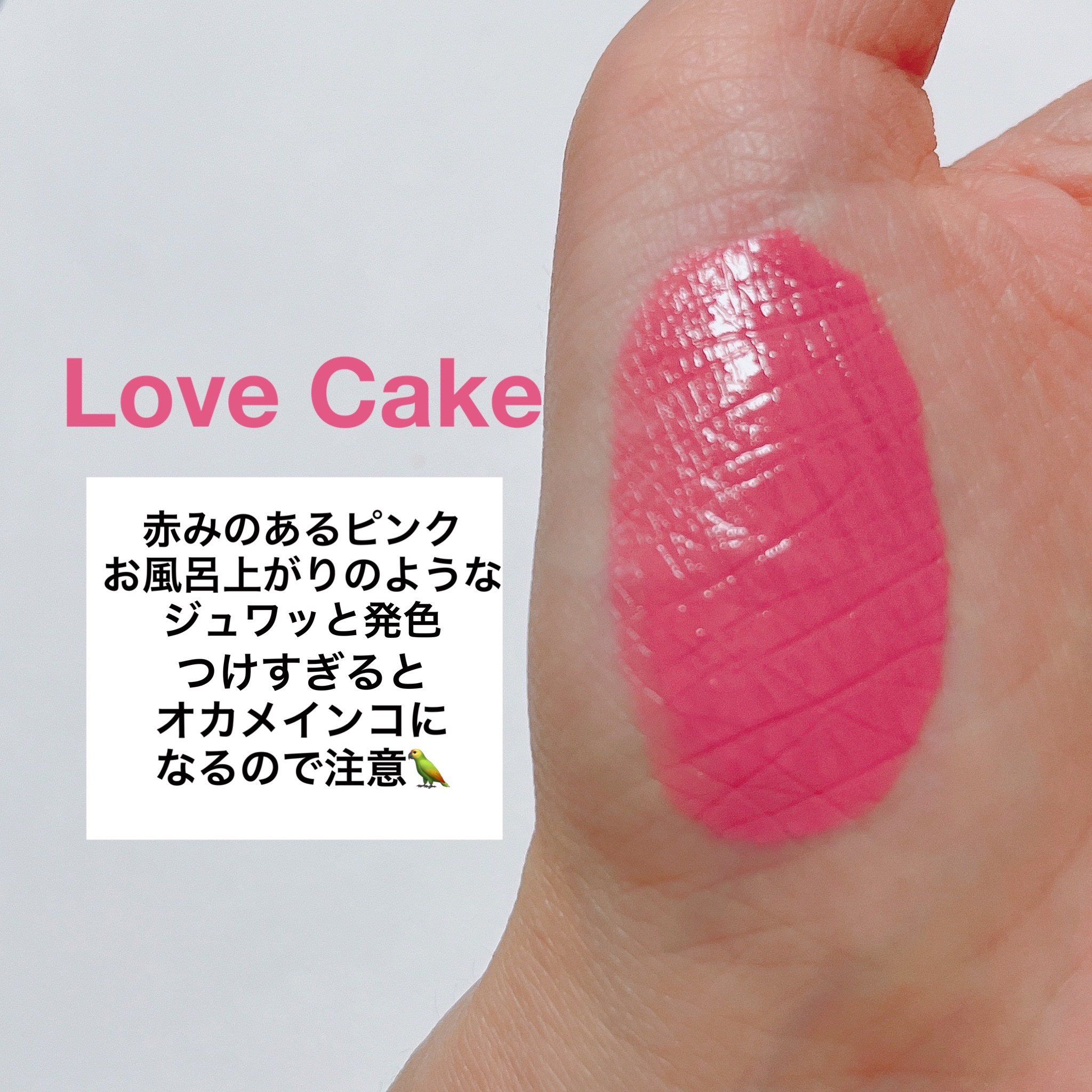 シーグラム カラーブルーム リキッドブラッシュ/SHEGLAM/リキッドチークを使ったクチコミ（3枚目）