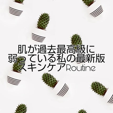 化粧水・敏感肌用・しっとりタイプ/無印良品/化粧水を使ったクチコミ(1枚目)
