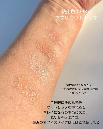 ケイト ポッピングシルエットシャドウ/KATE/アイシャドウパレットを使ったクチコミ(4枚目)