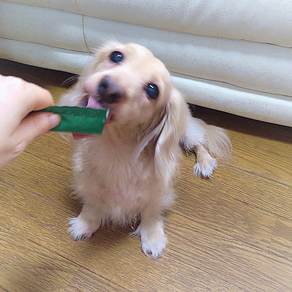 相談/その他を使ったクチコミ（3枚目）