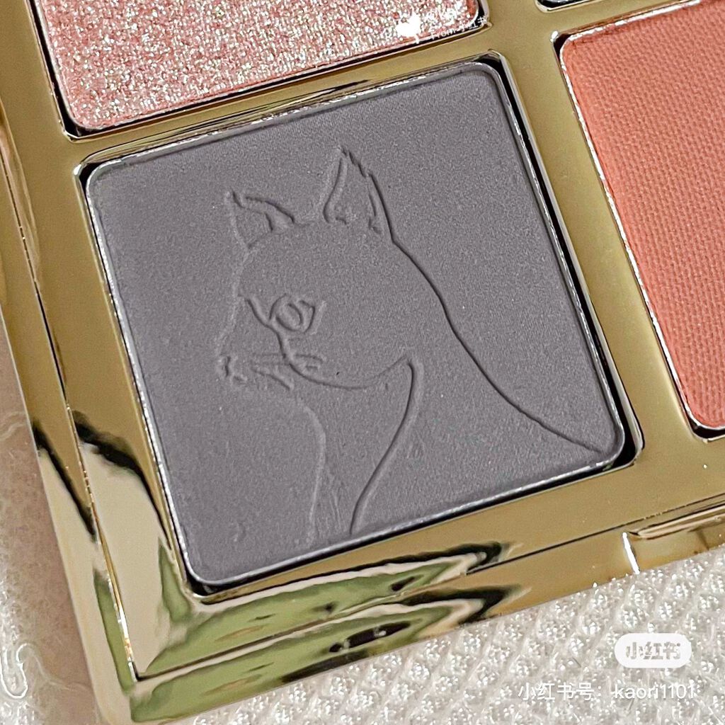 長相思シリーズ 9色アイシャドウパレット/CATKIN/アイシャドウパレットを使ったクチコミ(6枚目)