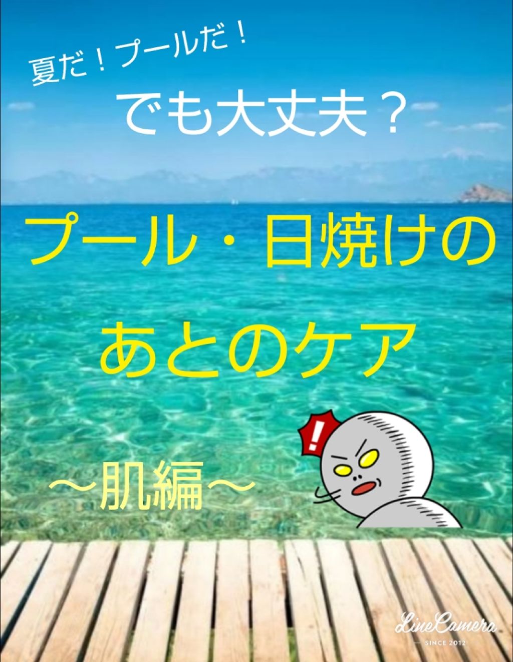 ハトムギ化粧水(ナチュリエ スキンコンディショナー R )/ナチュリエ/化粧水を使ったクチコミ（1枚目）