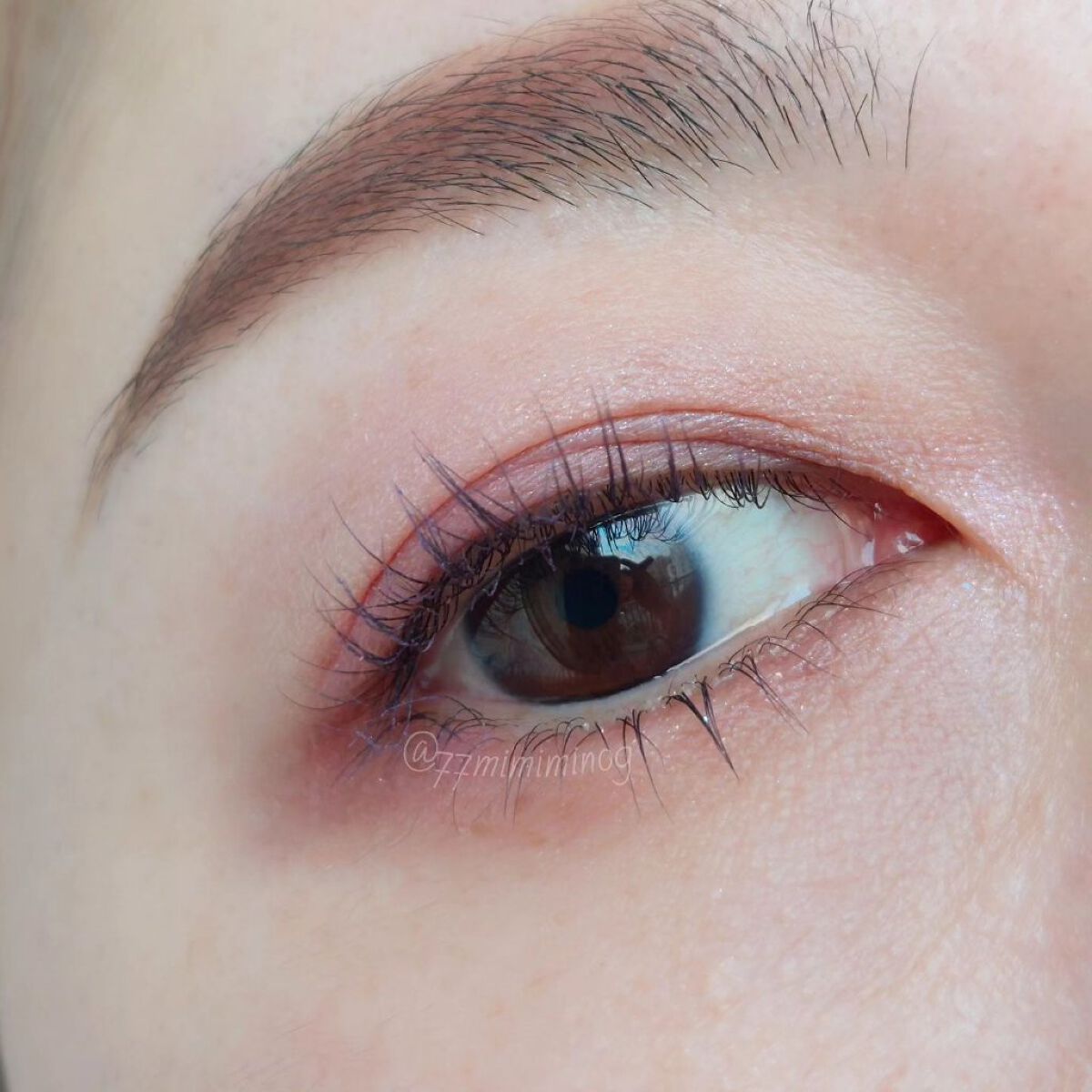 コンスピキュアス アイズ/Amplitude/アイシャドウパレットを使ったクチコミ（2枚目）