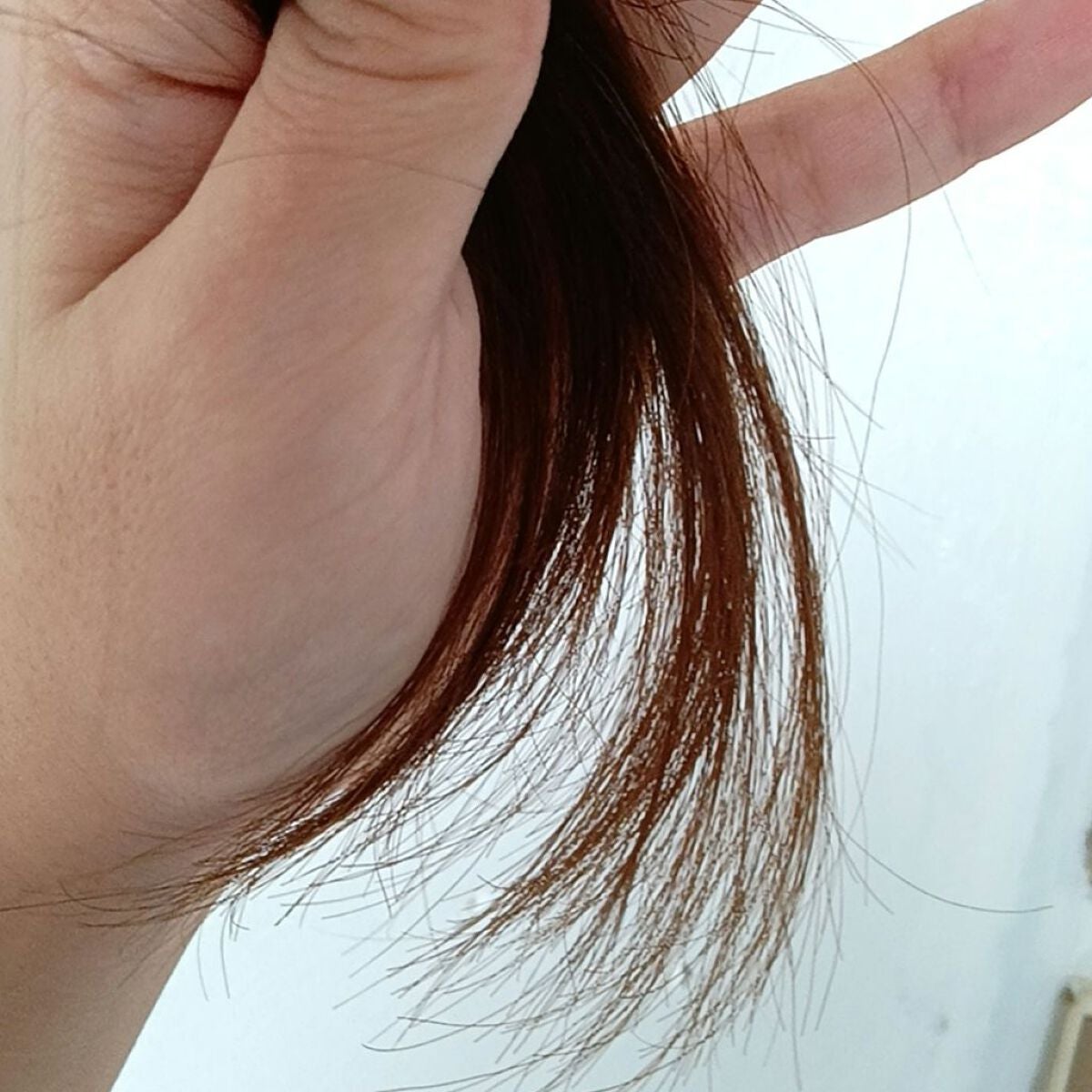 LPTケラチンリペアシャンプー/Daleaf/市販シャンプーを使ったクチコミ(5枚目)