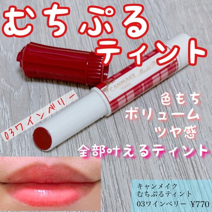 むちぷるティント/キャンメイク/リップティントを使ったクチコミ(1枚目)