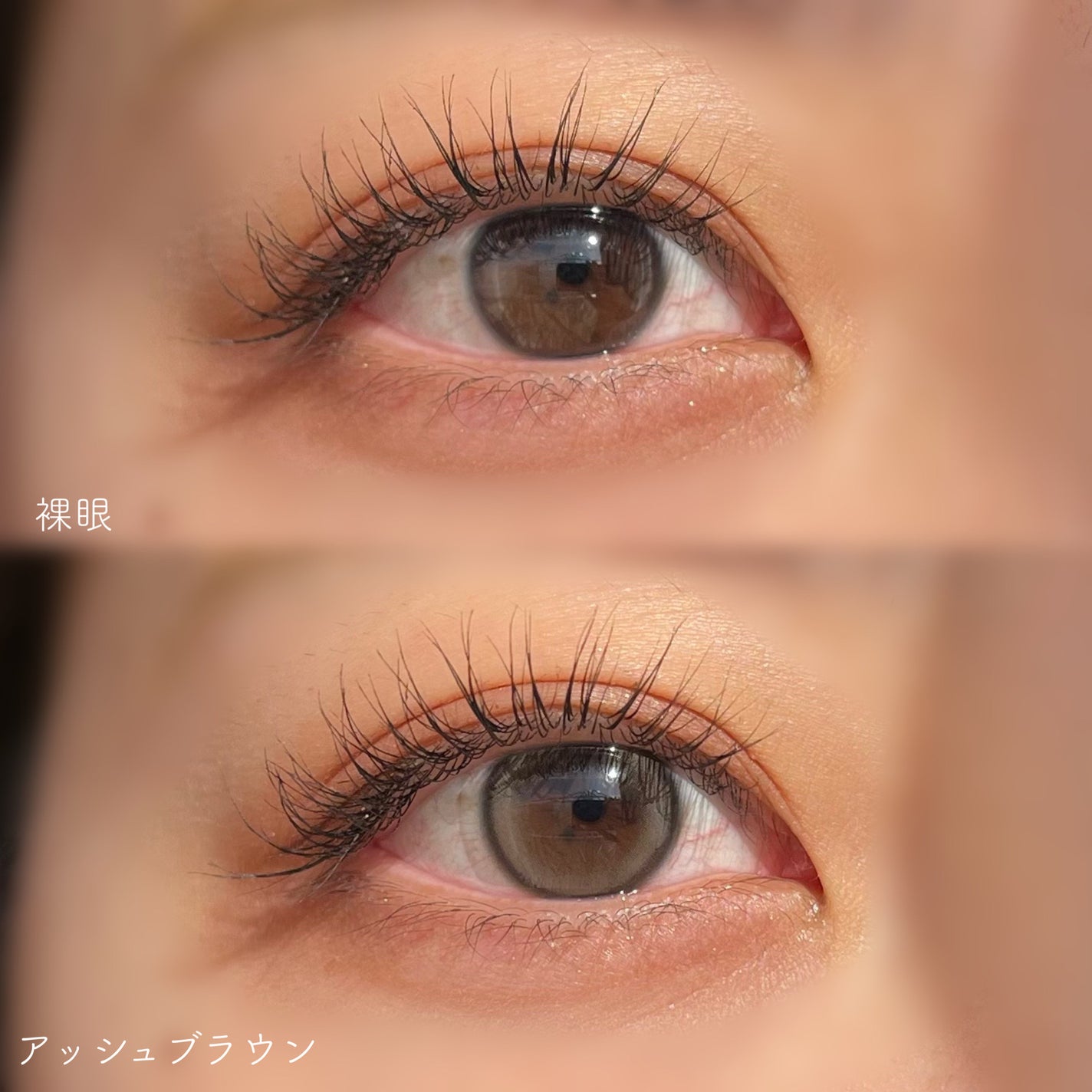 とあ on LIPS 「eyeisアッシュブラウン/Qoo10で購入🫧DIA:14.2..」(2枚目)