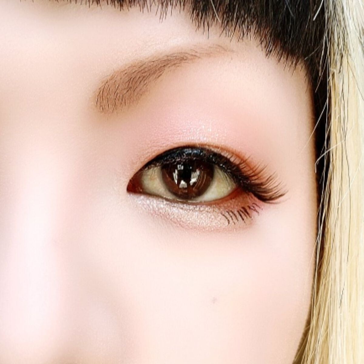 シルキースフレアイズ(マットタイプ)/キャンメイク/アイシャドウパレットを使ったクチコミ(5枚目)