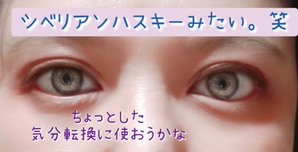 CRUUM 1day Ash/CRUUM/ワンデー(1DAY)カラコンの画像