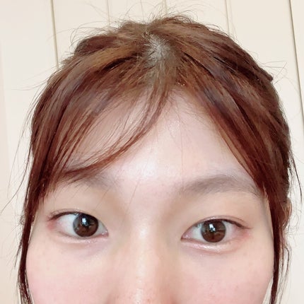 ザ コントゥア カラー(パウダー)/Visée/ハイライト・シェーディングを使ったクチコミ(5枚目)