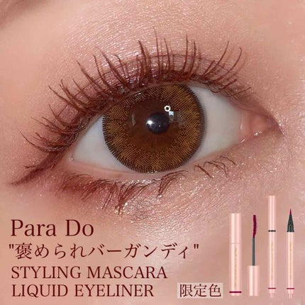 リキッドアイライナー /パラドゥ/リキッドアイライナーを使ったクチコミ(1枚目)