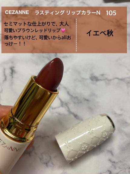 ラスティング リップカラーN/CEZANNE/口紅を使ったクチコミ(5枚目)