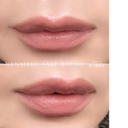 ネンマクフェイク ルージュ/Visée/口紅を使ったクチコミ(4枚目)