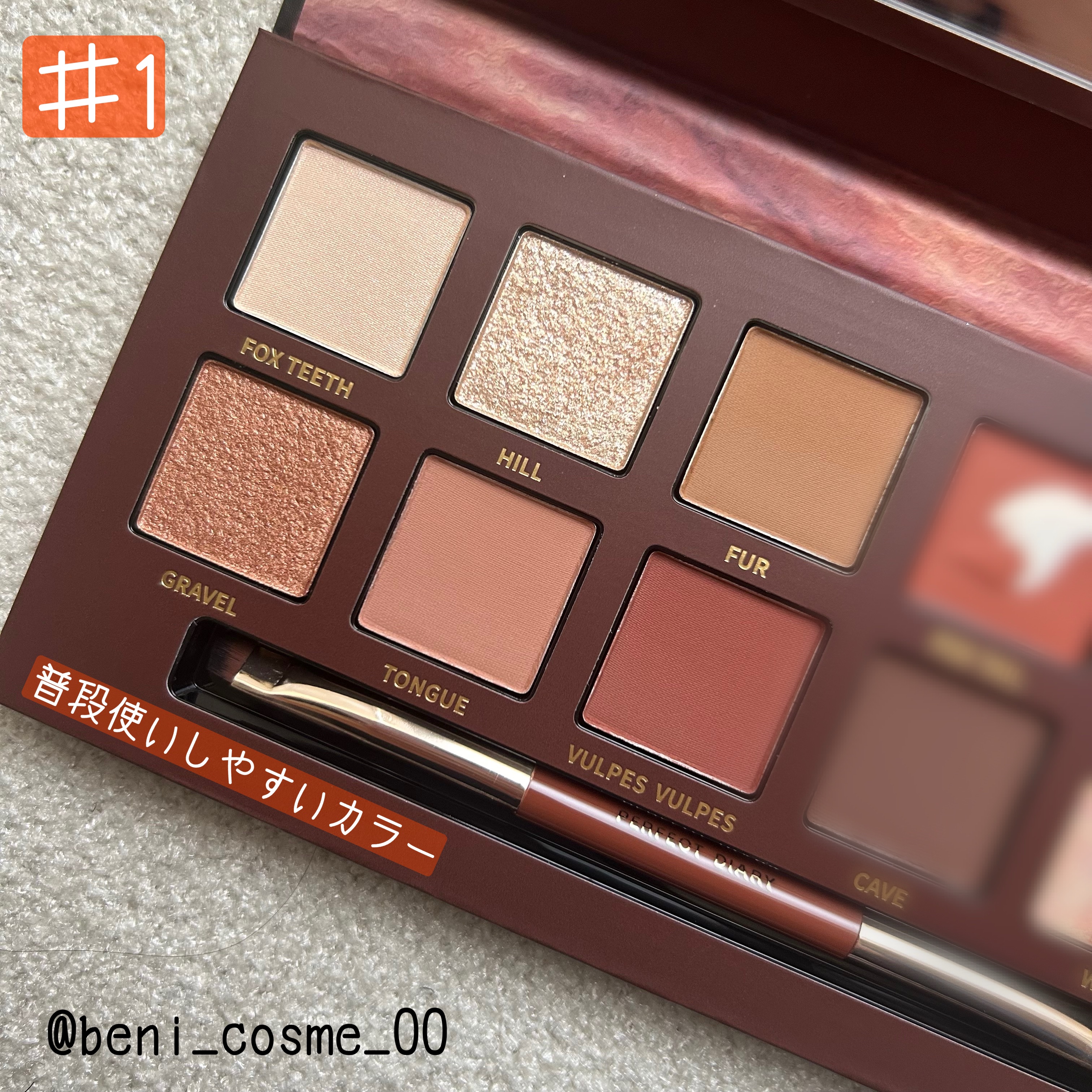 エクスプローラ12色 動物アイシャドウパレット/PERFECT DIARY/アイシャドウパレットを使ったクチコミ（3枚目）