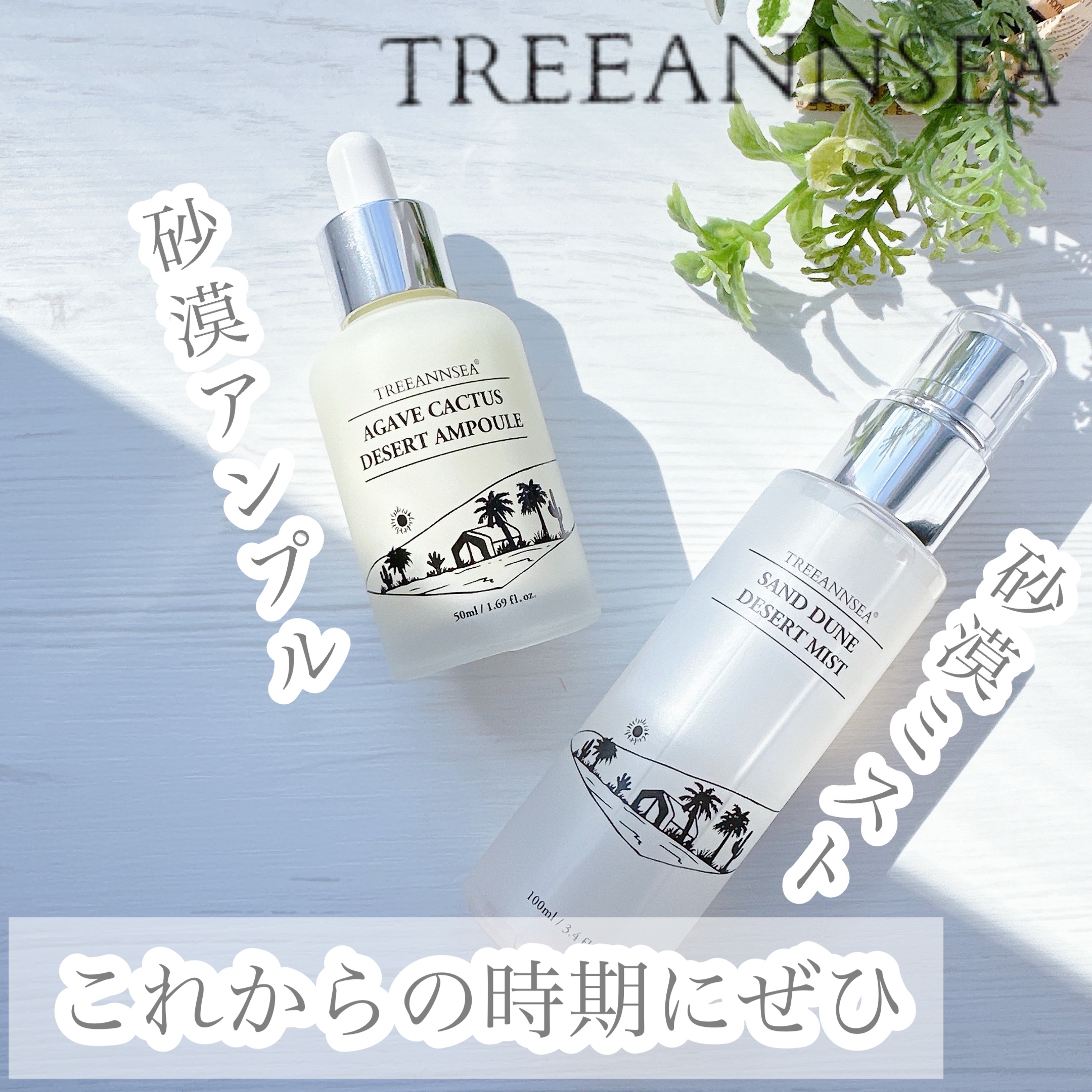 アガベ カクタス デザート アンプル/ツリーアンシー/美容液を使ったクチコミ（1枚目）