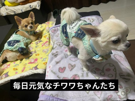 プレステージ ラ クレーム/Dior/フェイスクリームを使ったクチコミ(9枚目)