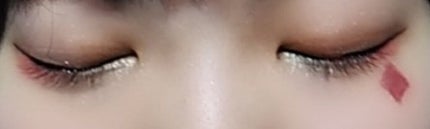 シングルカラーアイシャドウ/CEZANNE/単色アイシャドウを使ったクチコミ(3枚目)