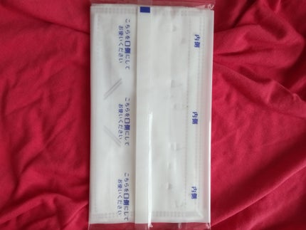 しっとり美肌マスク 日中用/小林製薬/マスクを使ったクチコミ(6枚目)