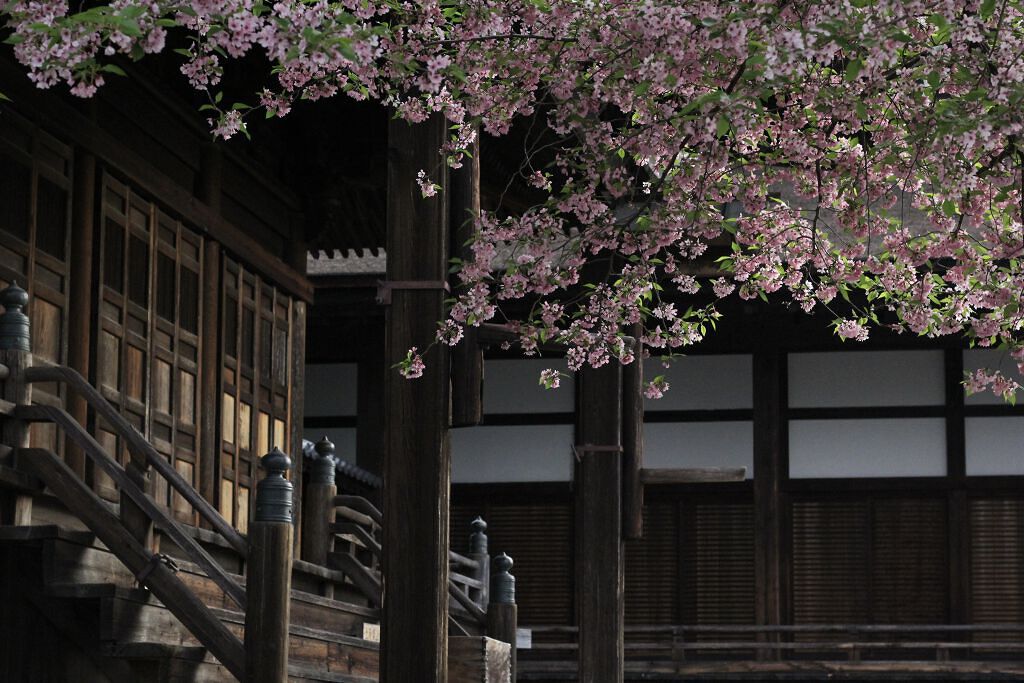 マスカラ 05 ピンクブラウン/ROUTEES/マスカラを使ったクチコミ（3枚目）