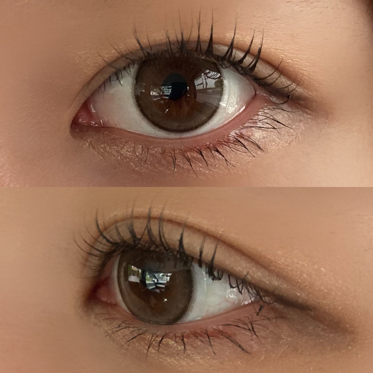 エバーカラーマンスリー/エバーカラー/1ヶ月(1MONTH)カラコンを使ったクチコミ(3枚目)