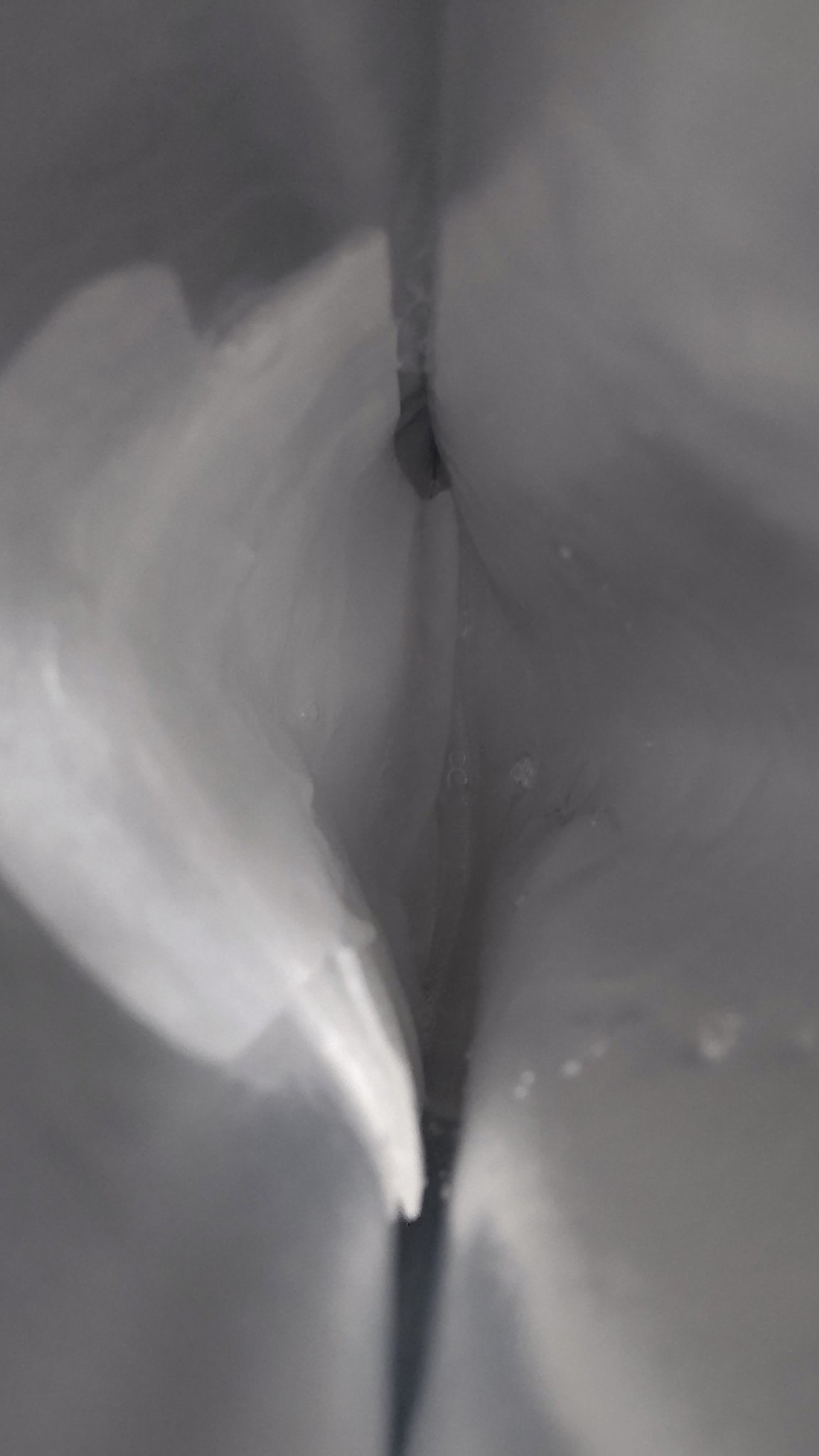 プロポリスエッセンシャルマスク/Bonajour/シートマスク・パックを使ったクチコミ（2枚目）