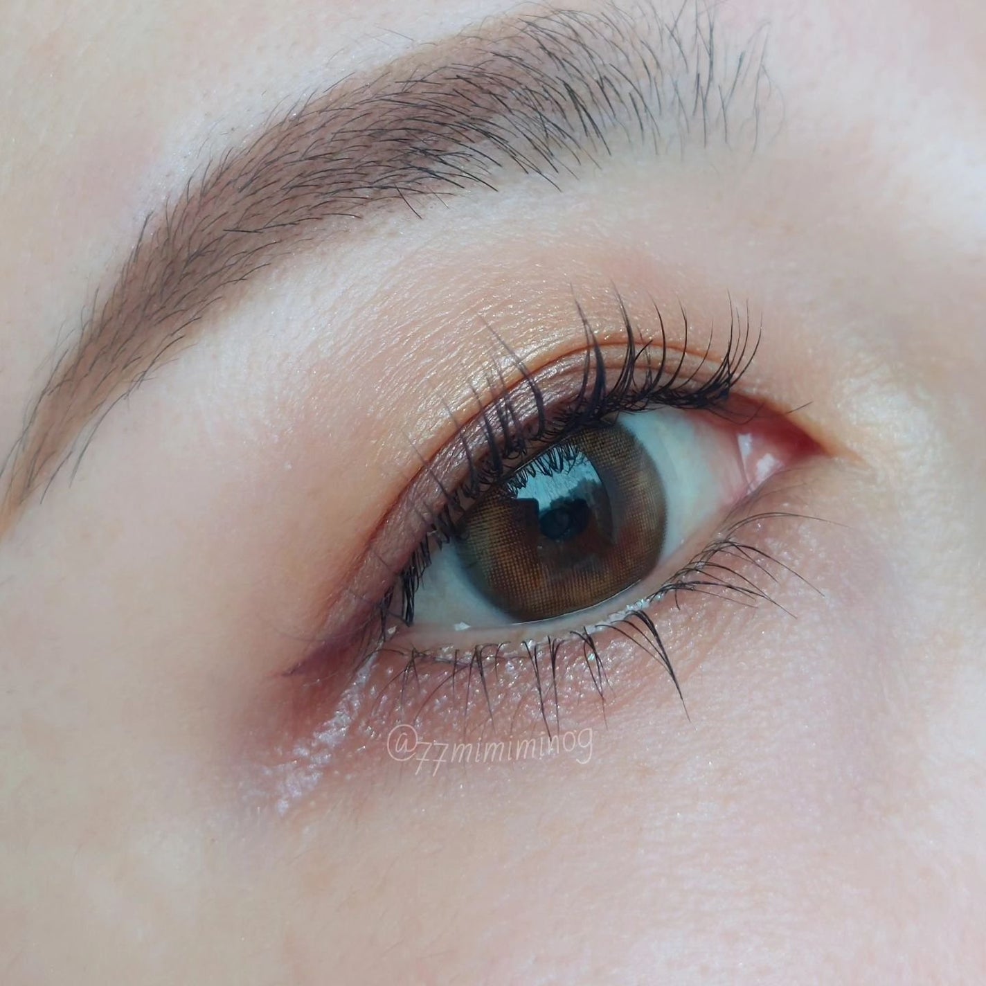 シグニチャー カラー アイズ/SUQQU/アイシャドウパレットを使ったクチコミ(2枚目)