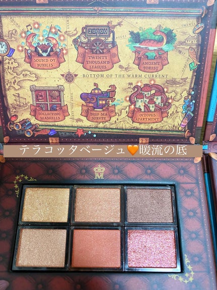 ナイストゥミーチュートランク/MAJOLICA MAJORCA/アイシャドウパレットを使ったクチコミ(2枚目)