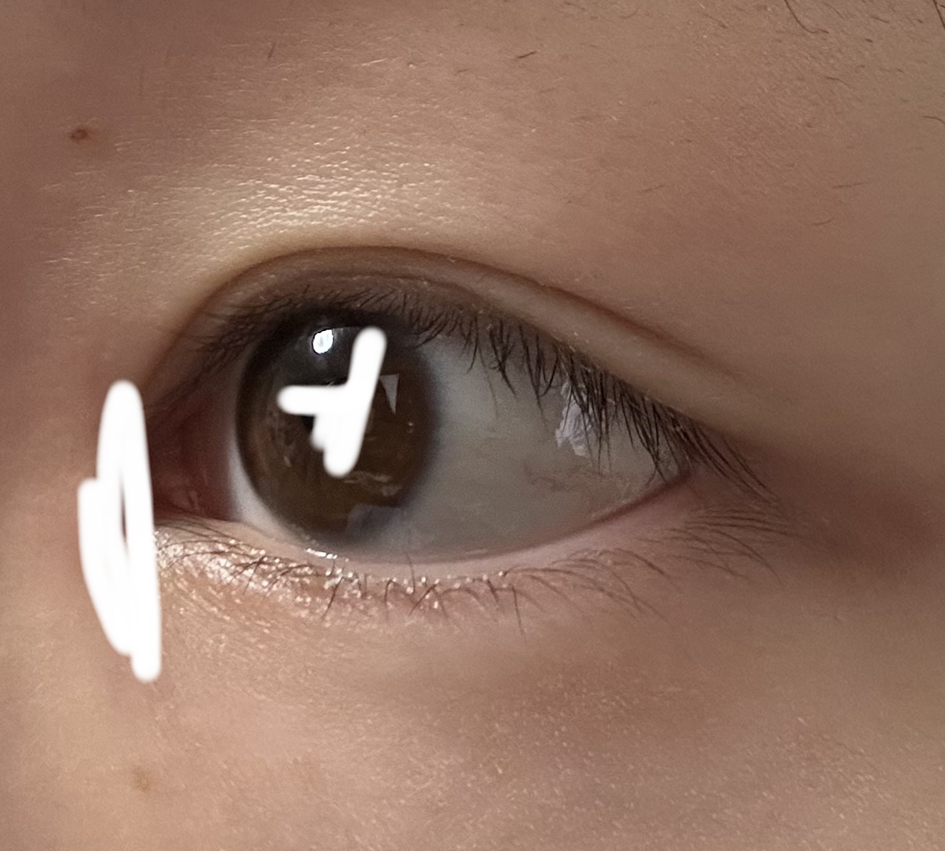 Flurry by colors 1day ライトカーキブラウン(褒められパンダ) /Flurry by colors/ワンデー（１DAY）カラコンを使ったクチコミ（3枚目）