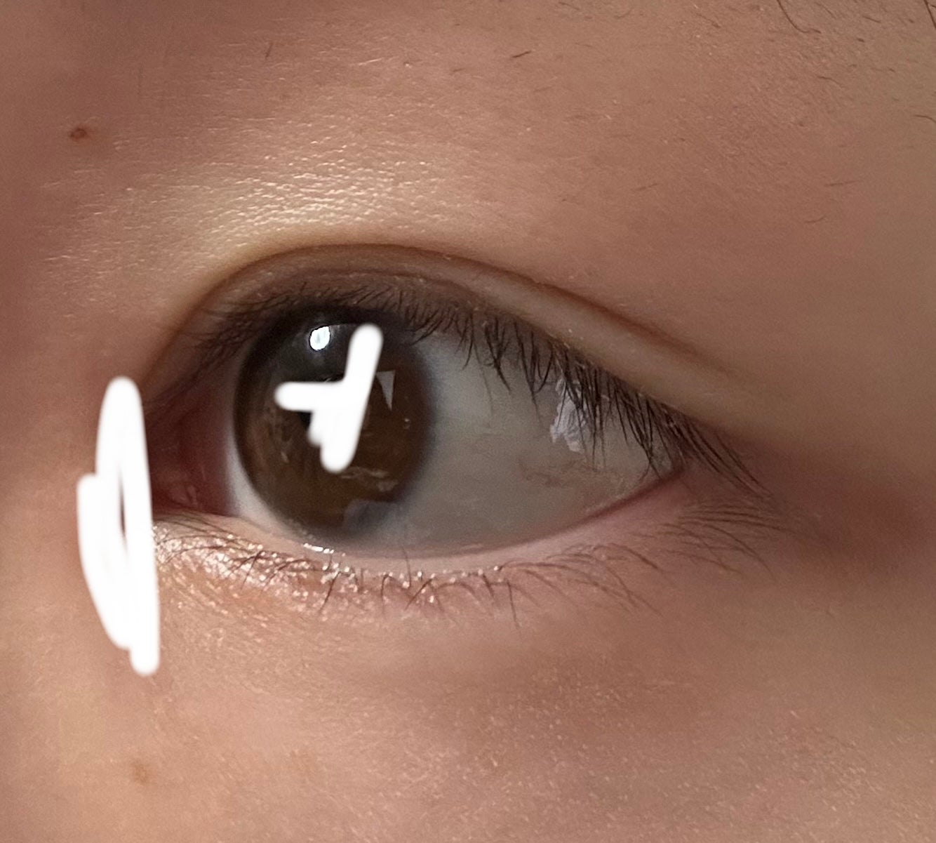 Flurry by colors 1day/Flurry by colors/ワンデー(1DAY)カラコンを使ったクチコミ(3枚目)