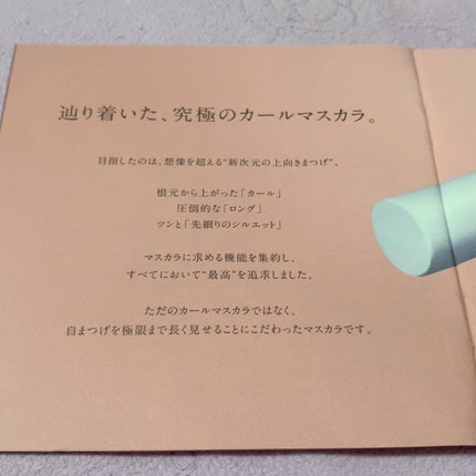 ハイパーリフトマスカラ/D-UP/マスカラを使ったクチコミ(2枚目)