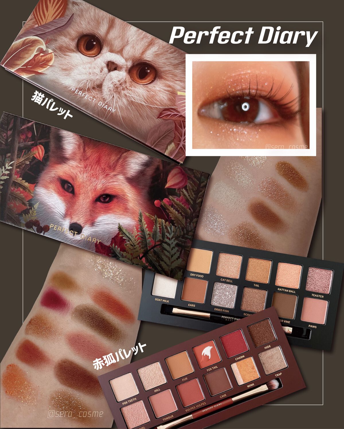 エクスプローラ12色 動物アイシャドウパレット/PERFECT DIARY/アイシャドウパレットを使ったクチコミ(1枚目)