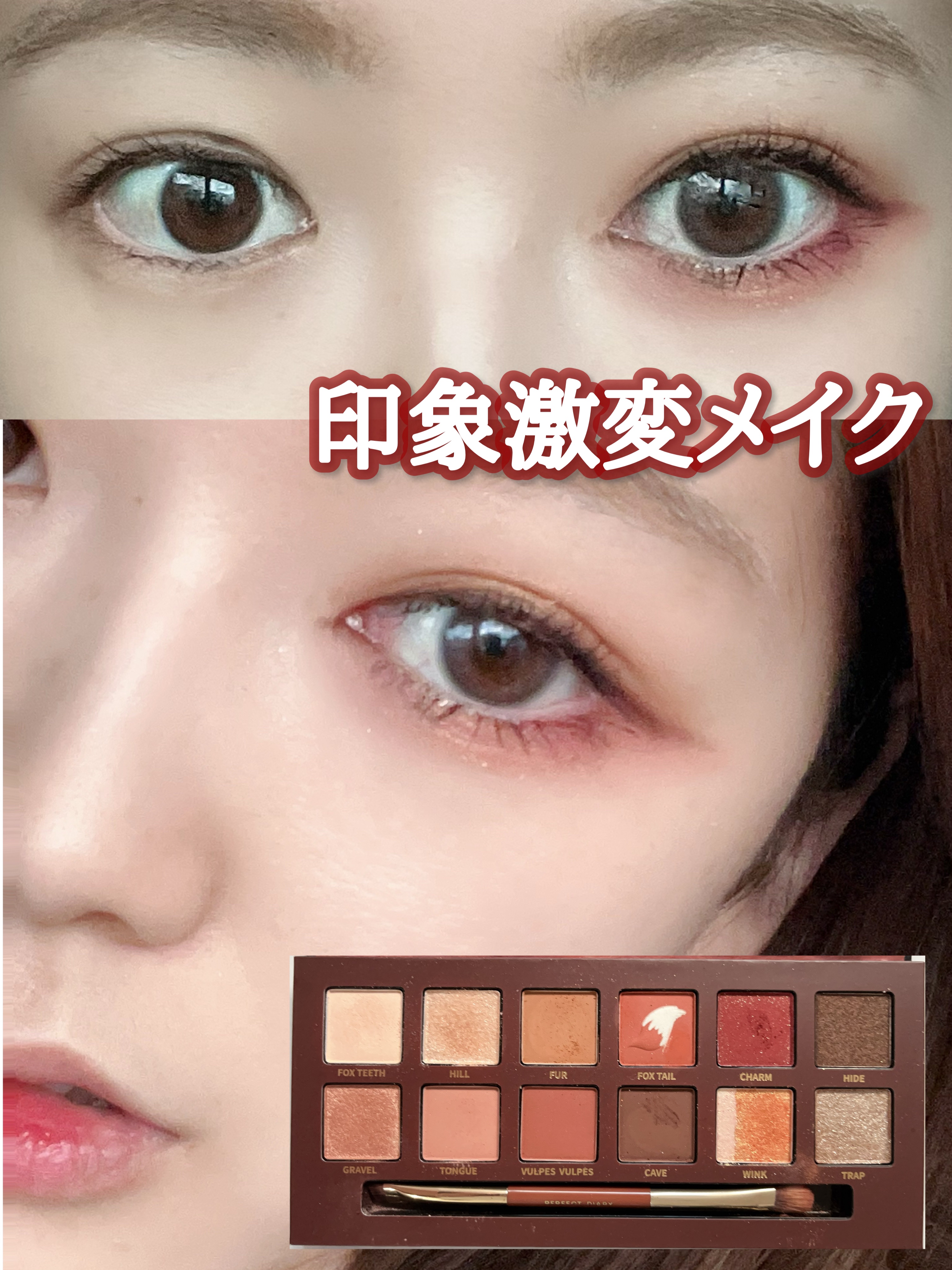 エクスプローラ12色 動物アイシャドウパレット/PERFECT DIARY/アイシャドウパレットを使ったクチコミ（1枚目）