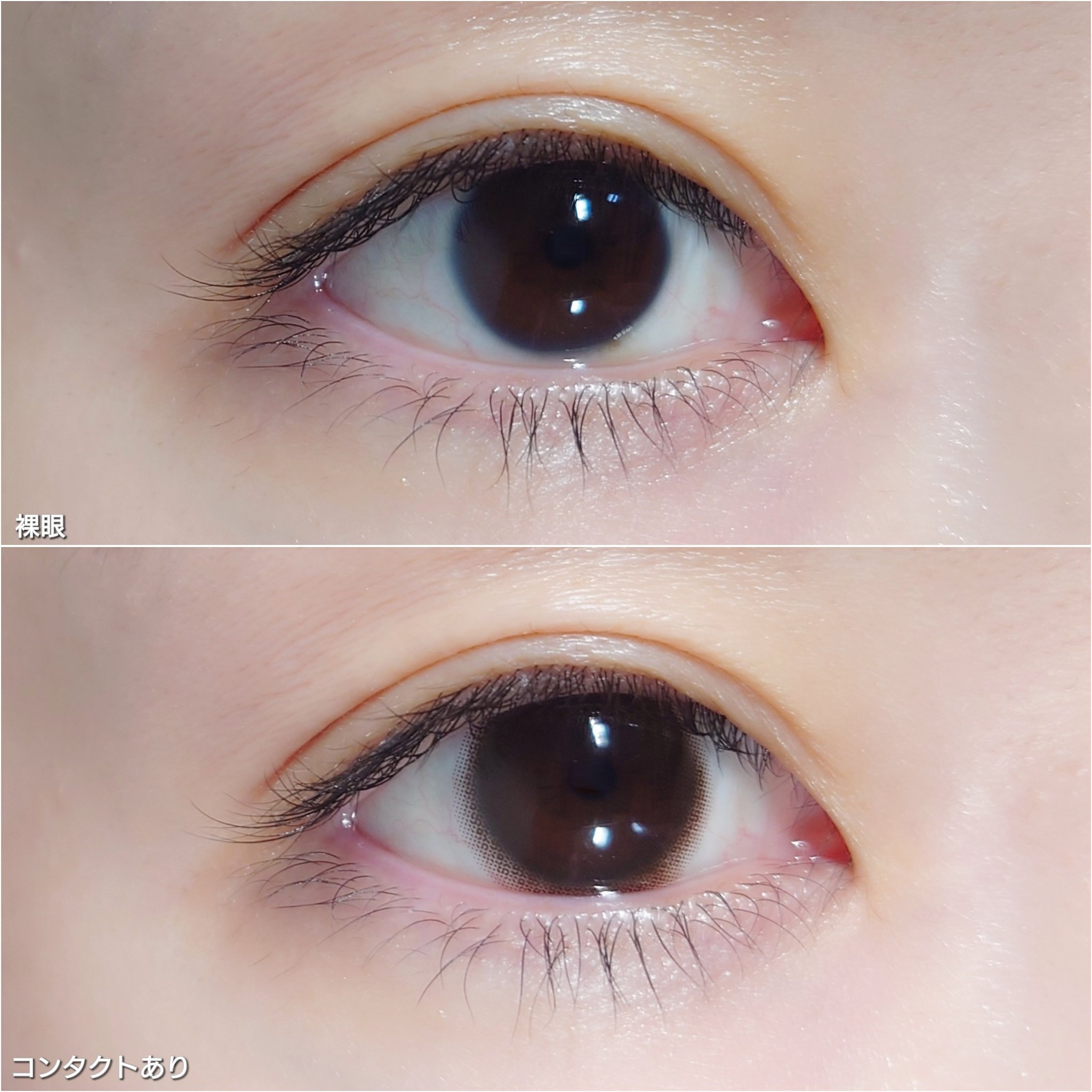 TOPARDS 1day/TOPARDS/ワンデー（１DAY）カラコンを使ったクチコミ（2枚目）