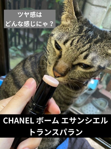 ボーム エサンシエル/CHANEL/ハイライトを使ったクチコミ（1枚目）