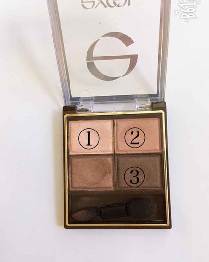 スキニーリッチシャドウ/excel/アイシャドウパレットを使ったクチコミ(2枚目)